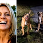 Jodi Cowan Killed By Neighbor’s Pitbulls